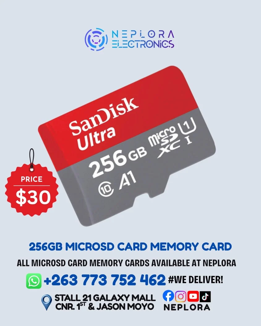 256 GB Micro SD Card