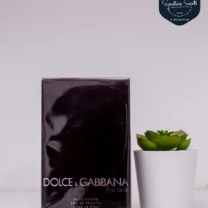 Dolce &Gabbana the one